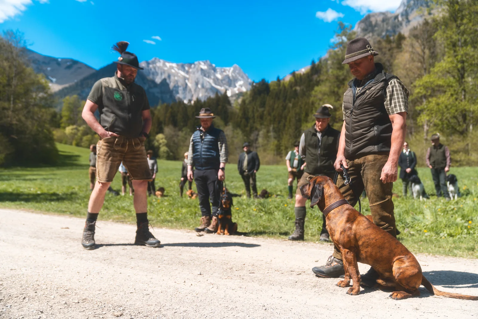 Hundeführer und Jagdhunde bei der Vorführung des Jagdkurses Leoben in der Krumpen